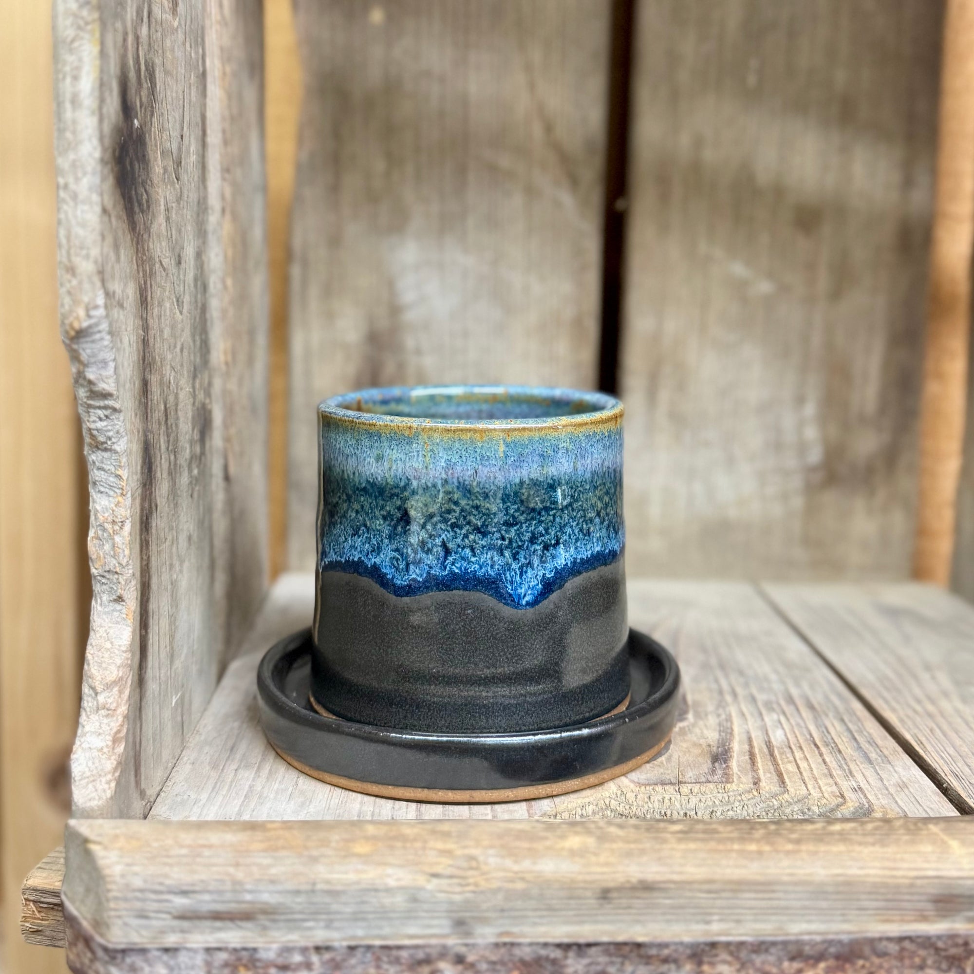 Tiny Planter {Black and Blue}