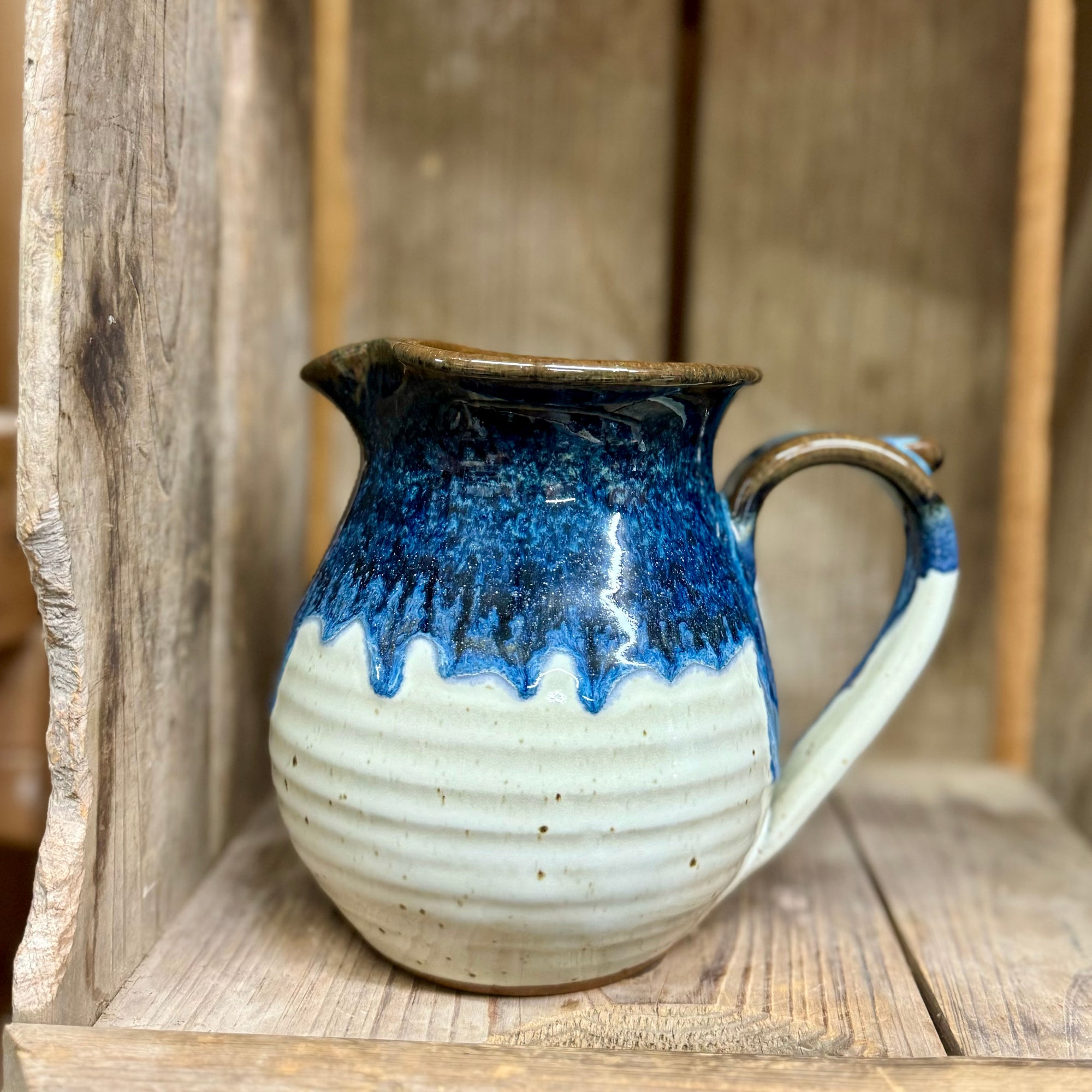 Pitcher {Blue Jay}