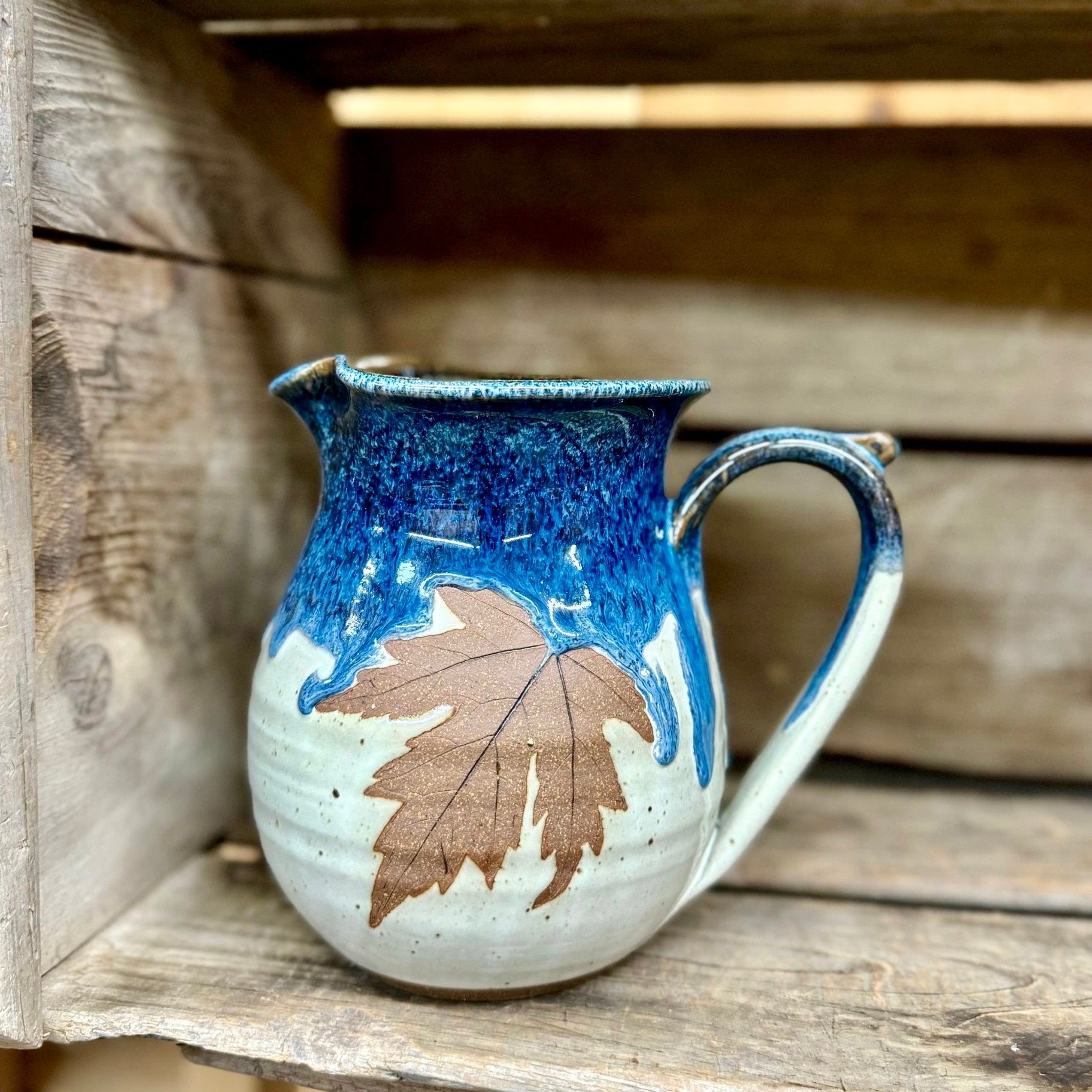 Leaf Pitcher {Blue Jay}